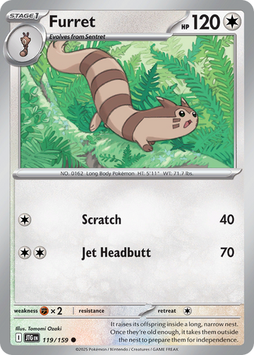 119/159 - Furret - [Common] - Reverse Holo