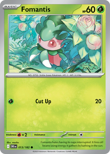 013/182 - Fomantis - [Common]
