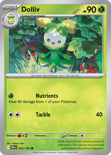 022/182 - Dolliv - [Common] - Reverse Holo
