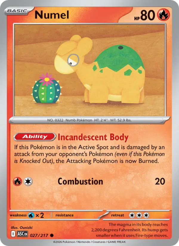 Losse Pokémonkaart 027/217 - Numel - Ascended Heroes - [Common] - Energy Reverse Holo