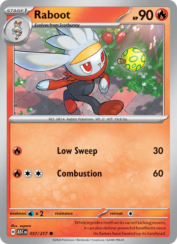 Losse Pokémonkaart 037/217 - Raboot - Ascended Heroes - [Common] - Friendball Reverse Holo