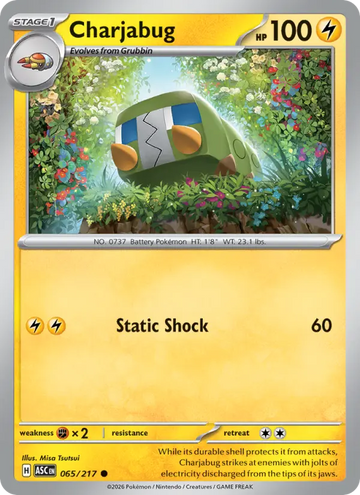 Losse Pokémonkaart 065/217 - Charjabug - Ascended Heroes - [Common]