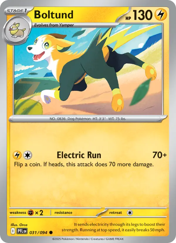 Losse Pokémonkaart 031/094 - Boltund - Phantasmal Flames - [Common]