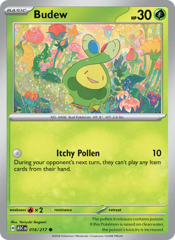Losse Pokémonkaart 016/217 - Budew - Ascended Heroes - [Common]