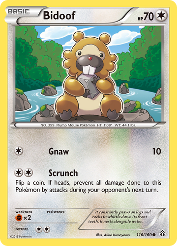 116/160 - Bidoof - [Common]