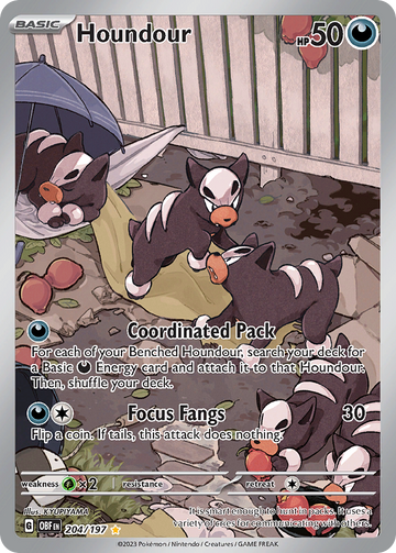 204/197 - Houndour - [Illustration Rare]