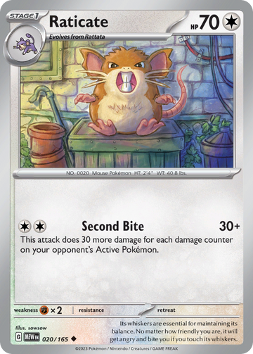 020/165 - Raticate - [Uncommon]