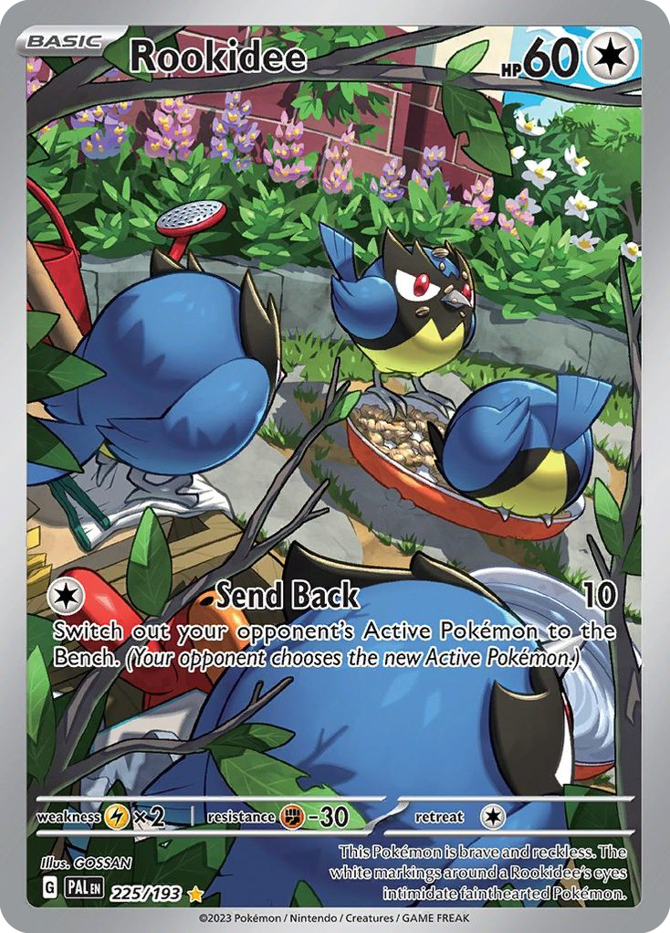 225/193 - Rookidee - [Illustration Rare]