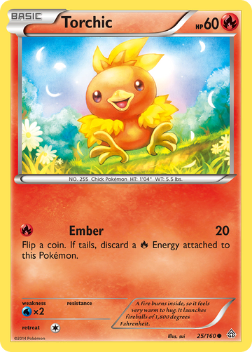 25/160 - Torchic - [Common]