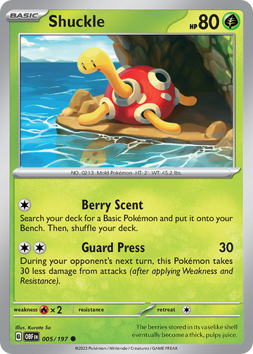 005/197 - Shuckle - [Common] - Reverse Holo