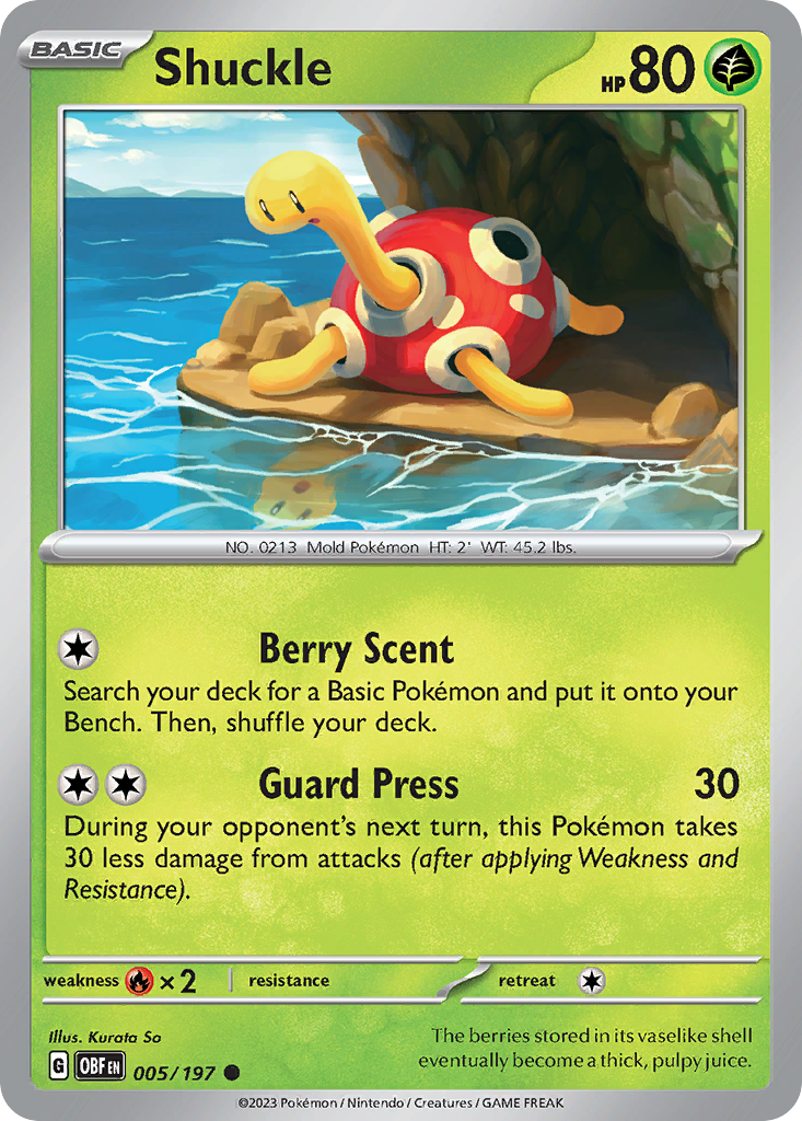005/197 - Shuckle - [Common]