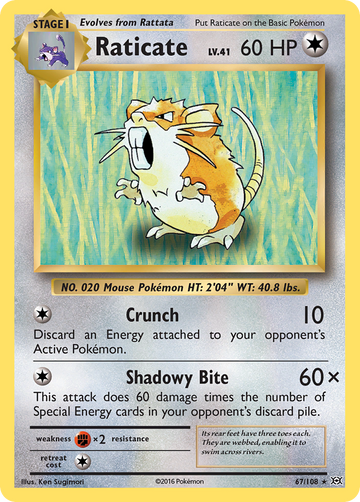 67/108 - Raticate - [Rare]