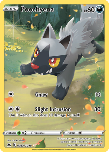 GG33/GG70 - Poochyena - [Trainer Gallery Rare Holo]