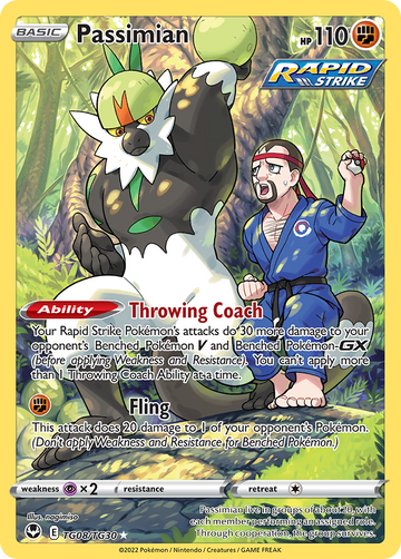 TG08/TG30 - Passimian - [Trainer Gallery Rare Holo]