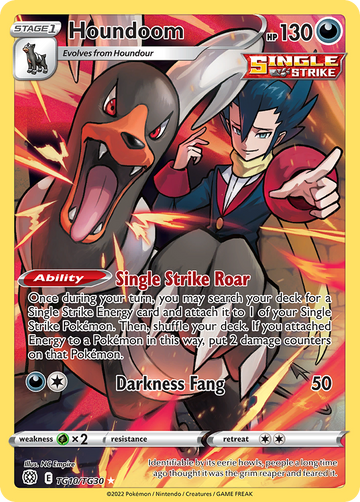 TG10/TG30 - Houndoom - [Rare Holo]