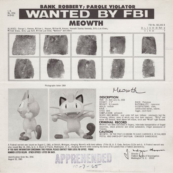 Travis Durden - Meowth